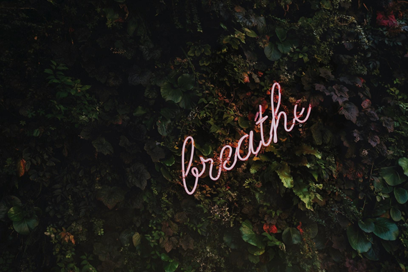 a pink "breathe" sign on a green-leafy background